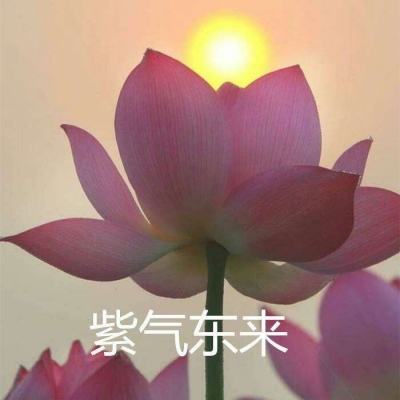 九游版十万个小伙伴下载